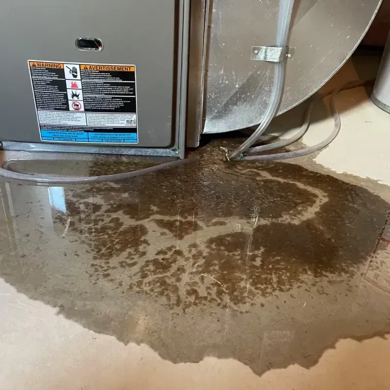 Appliance Leak Cleanup in Cortland West, NY